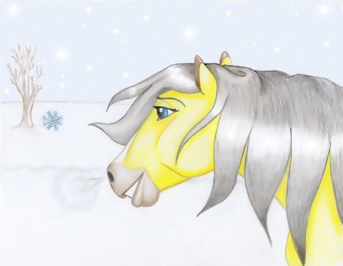 First Snowfall by soaraspirit on DeviantArt