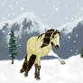 Peaceful Snowstorm
