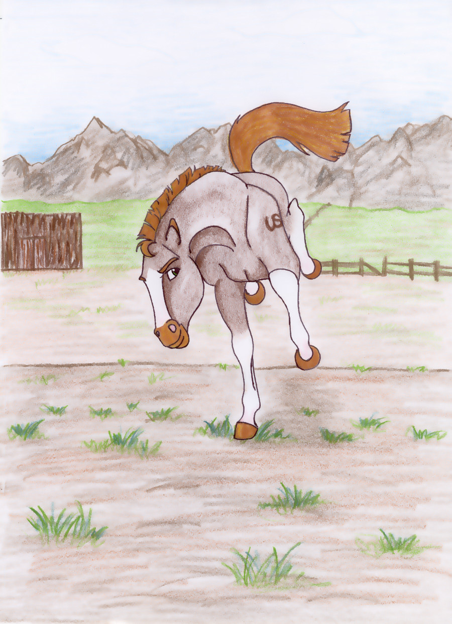 Escape -random horse-