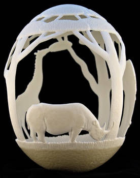 Carved Ostrich egg - 'Africa'