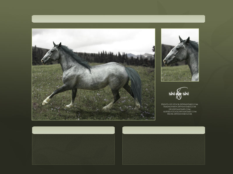 Howrse layout by shi-no-shi-howrse on DeviantArt