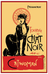 Catwoman - Chat Noir