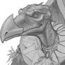 Skeksis sketch