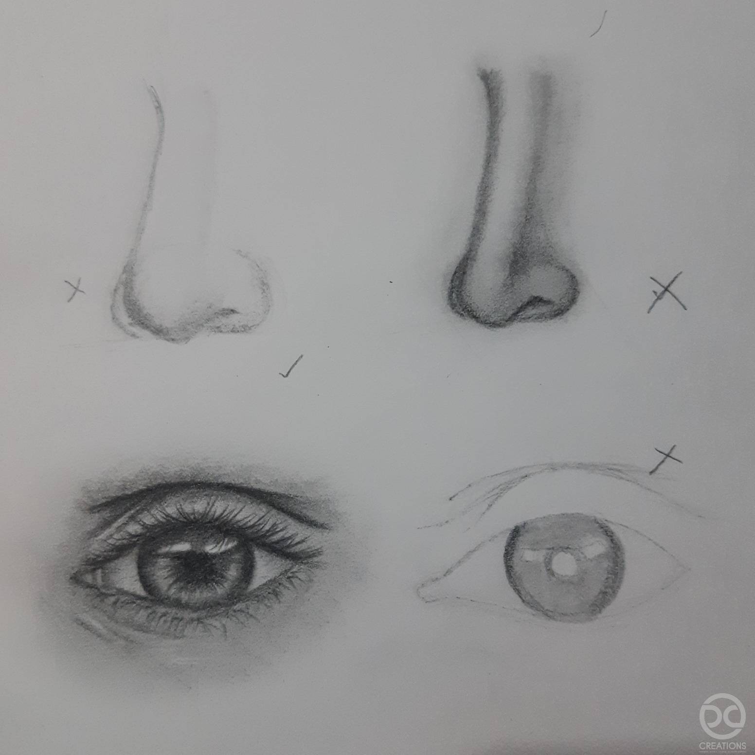 Practice Drawing: Eye And Nose By Dicocalingal On Deviantart