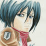Mikasa color sketch