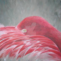 Flamingo Acryl Op Doek 60x60