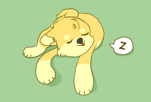 snooze