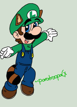 Raccoon Luigi