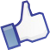 Facebook Thumbs Up Icon