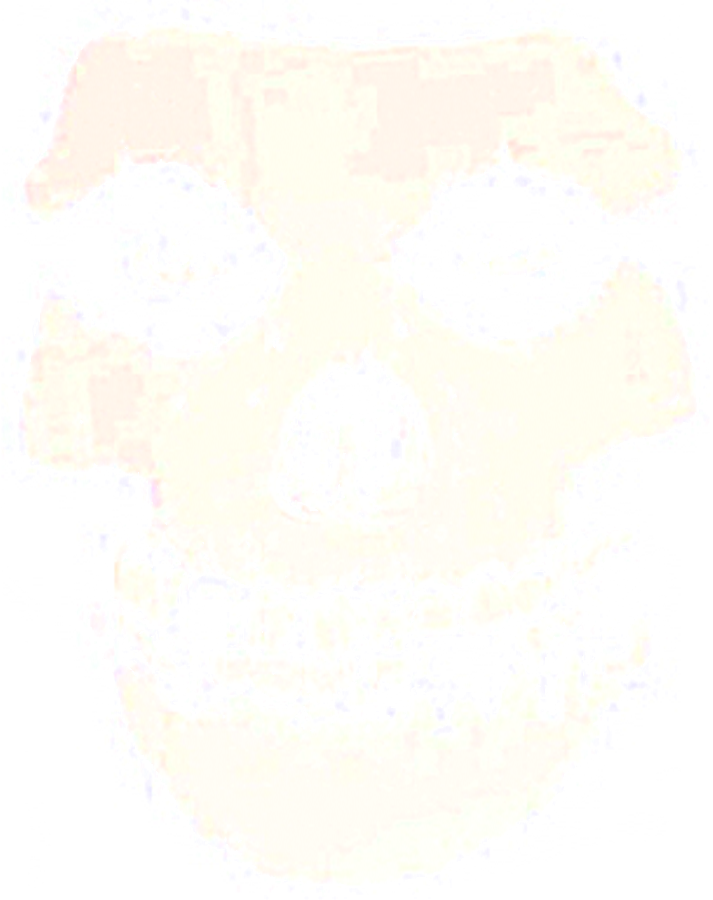 Misfits Skull 2