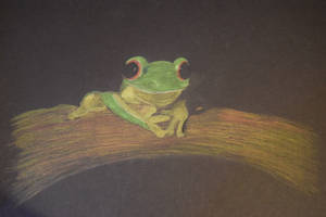 Tree Frog