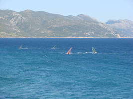 Surfers on sea