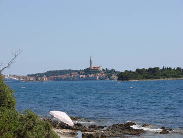 Rovinj in distance