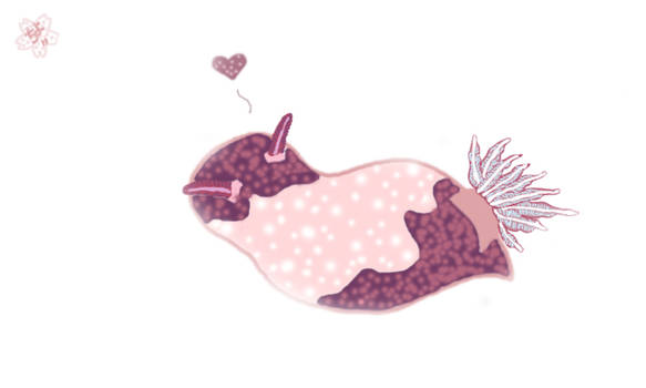 Kawaii Nudibranch