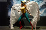 Cosplay Hawk Girl Justice League