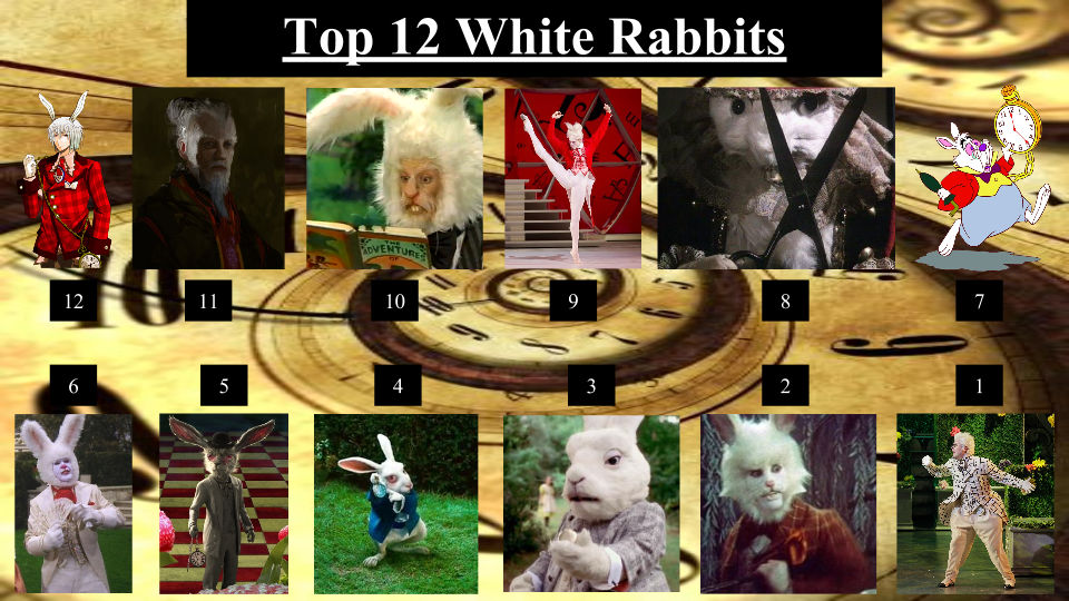 Top 12 White Rabbits by JJHatter on DeviantArt