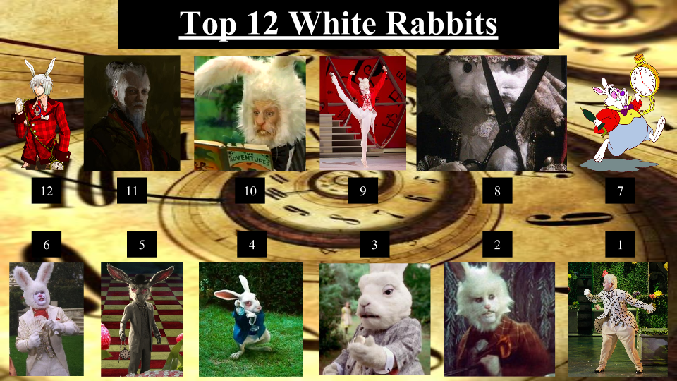 Top 12 White Rabbits