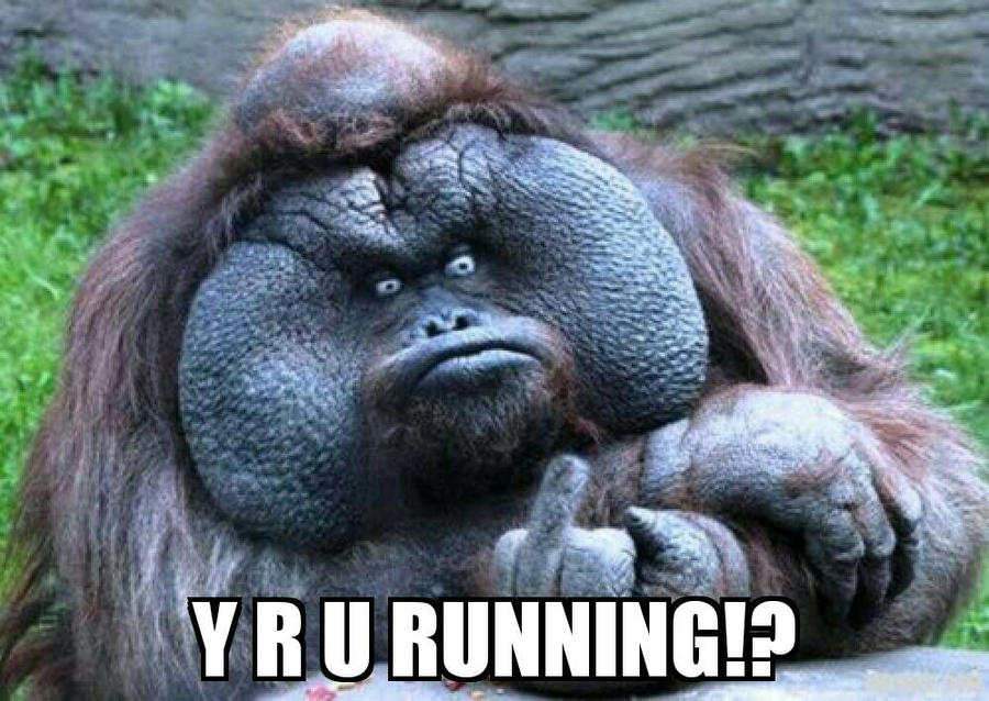 Y R U Running!? by SSBrandon on DeviantArt