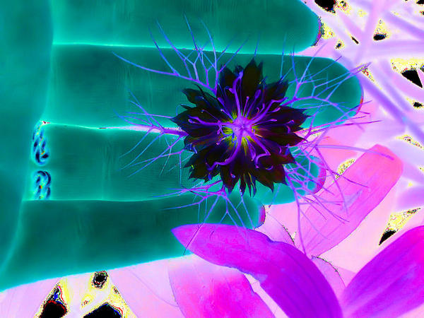 The Flower by Hazlenuttt2006 on DeviantArt