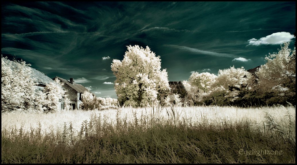 lost barns at summer breeze