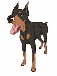 Doberman