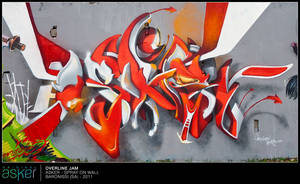 Overline 2011