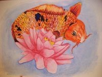 Lotus and Koi