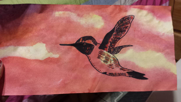 Humming Bird:)