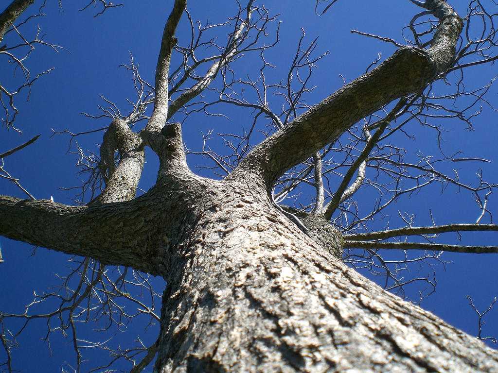 Dramatic Angle by mindyourown1 on DeviantArt