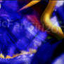 Spyro the Dragon Banner