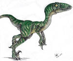 Velociraptor mongoliensis - Jurassic Park novel