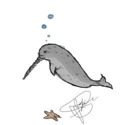 Narwhal(e)
