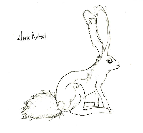 Jack Rabbit Cut Out Jack Rabbit by SolidFoot on DeviantArt