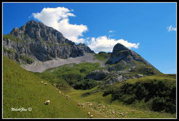 Pizzo Arera dal Branchino