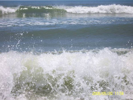 Florida Waves