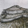 ''Fortress of Doboj''