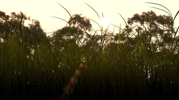 grass close-up