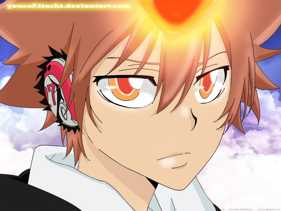 Sawada Tsunayoshi with hyper dying will mode!