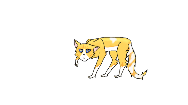 Summertail of WindClan