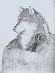 Wolf sketch