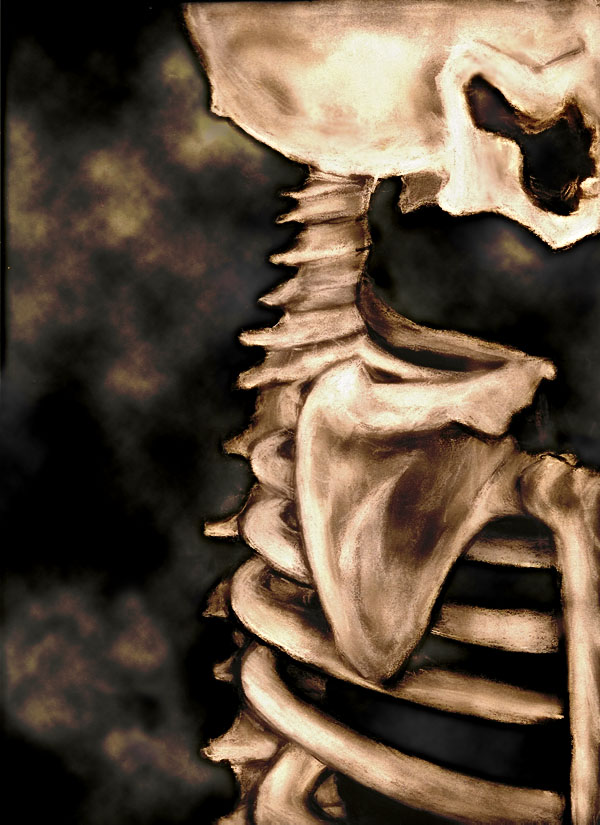 Skeleton