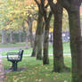 bench and trees