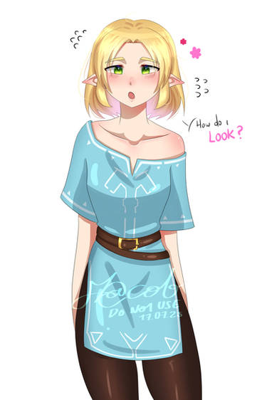 Trying Link's Champions Tunic