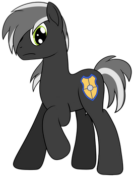 Nameless pony for a person