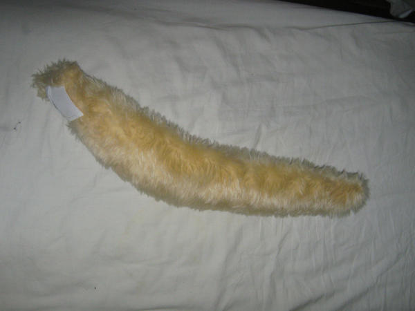 Collie tail