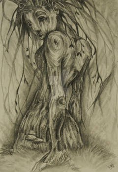 Weeping Willow