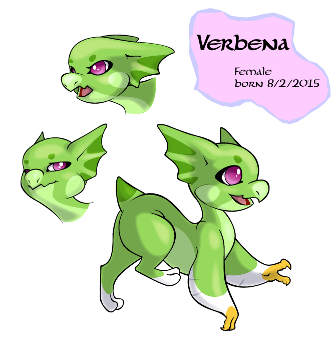 Verbena (Approved!)