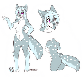 Winter Husky Flatsale Adopt!