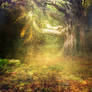 premade background stock : hot tree