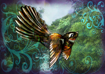 FlyingFantail